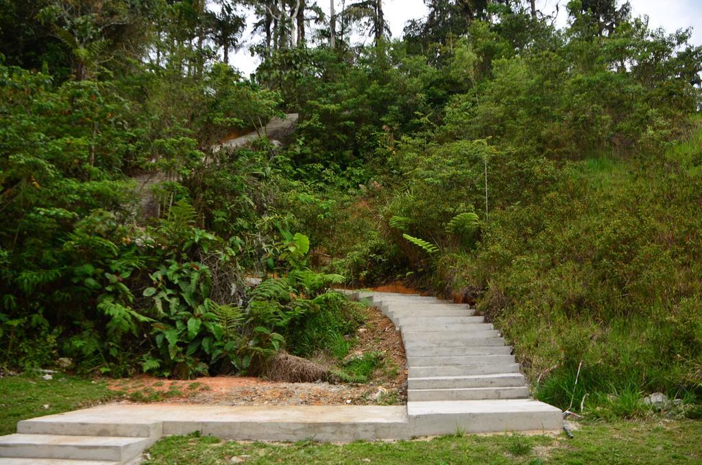 The Woodz Homestay Tanah Rata Kültér fotó